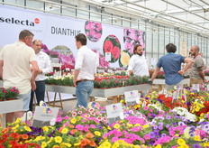 Genoeg om te bespreken op de locatie van Selecta.